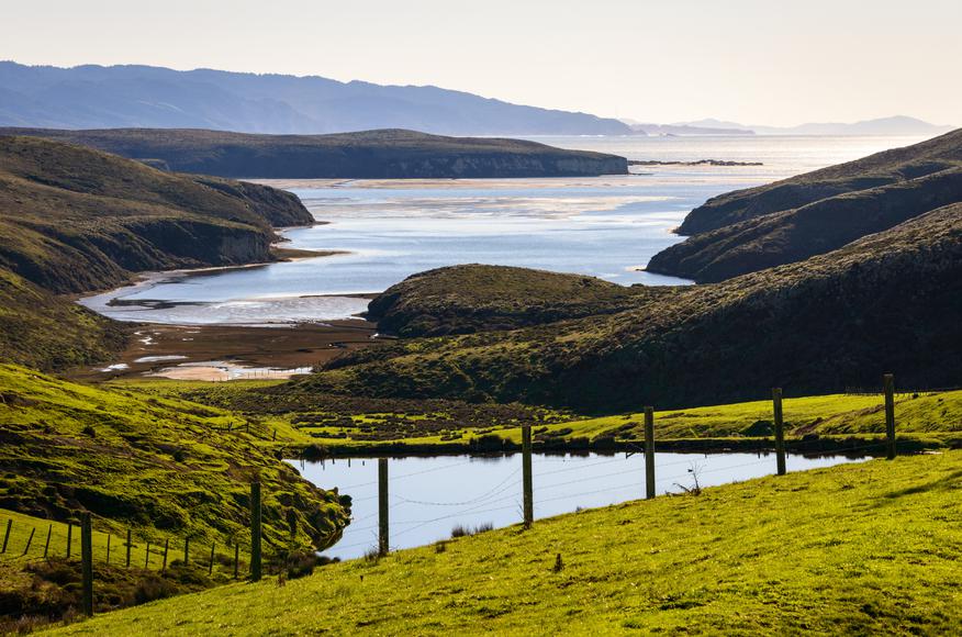 6 Fun Things to Do in Point Reyes to Add to Your Itinerary