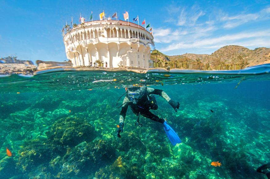 The 9 Best Snorkeling Spots in California