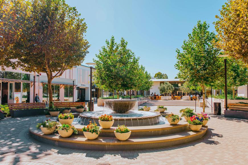 East Bay City Guide: A Day in Walnut Creek