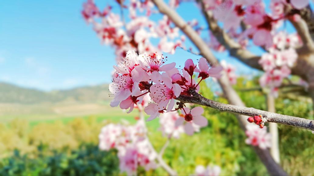 19 Facts You Didn't Know About California's Central Valley