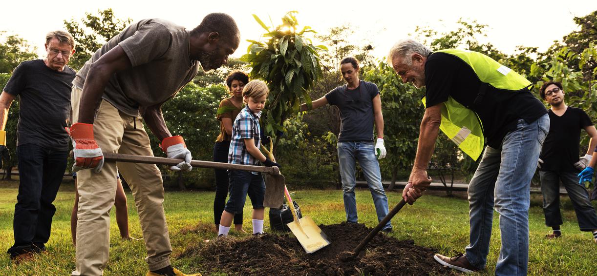 The People's Produce: A Guide to California's Community Gardens