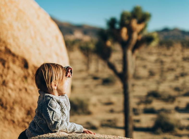 The 15 Best California Attractions for Families