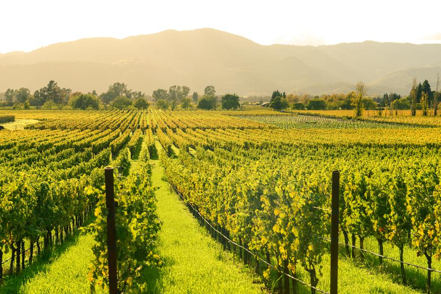 11 Places To Go Hiking in Napa Valley