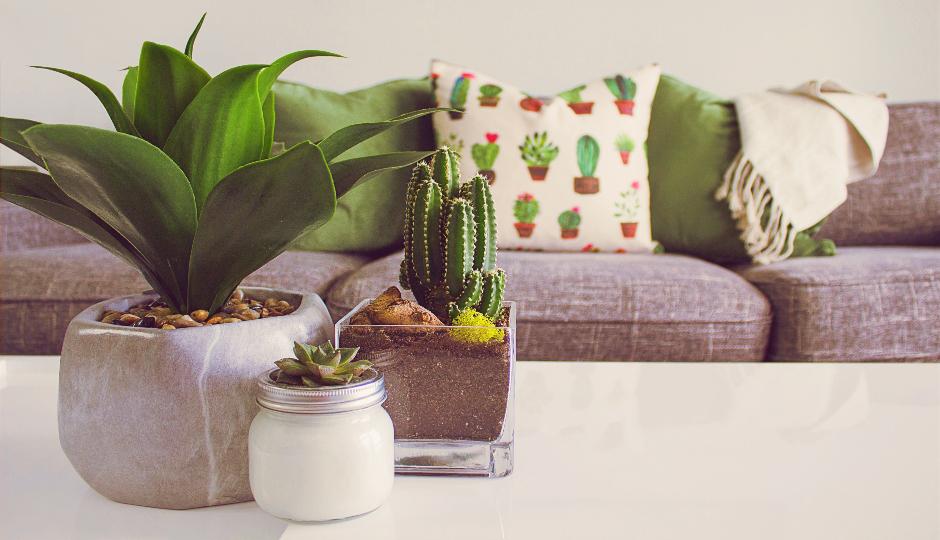 California Chic: The Home Decor Boutiques You Can't Miss