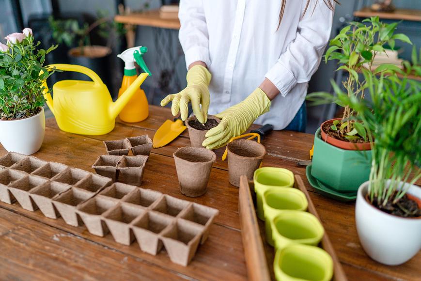 How to Prep Soil for Planting Your California Spring Garden