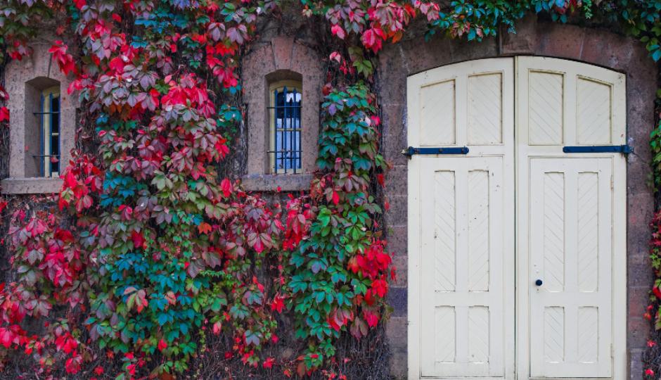 11 Things to Do in Wine Country that Don’t Involve Drinking