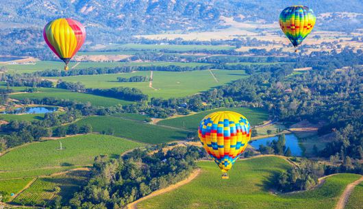Hold the Wine: 11 Things to Do in Wine Country that Don&rsquo;t Involve Drinking