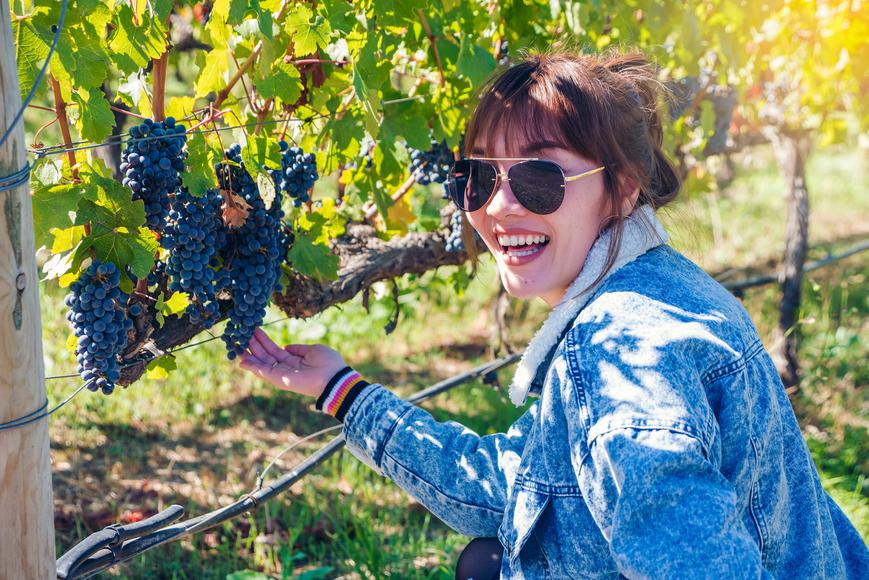 The Napa Attractions You Didn't Know About