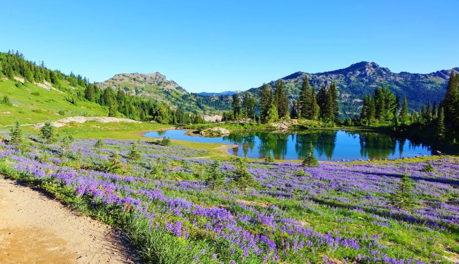 Traversing Trails: Introduction to the Pacific Crest Trail