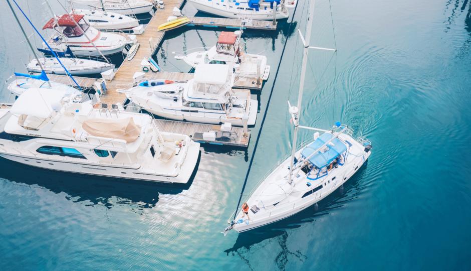 The Best Water Activities in San Diego