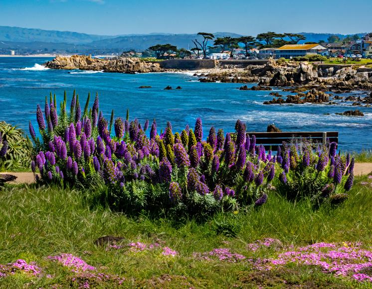 9 Weekend Trips from San Francisco Every Local Should Take