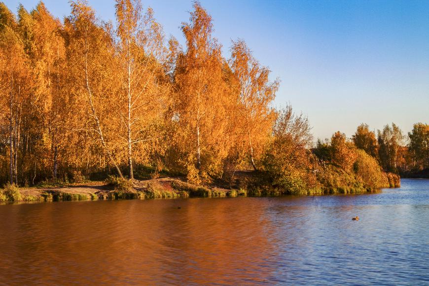 Where to See Stunning Fall Foliage in Southern California