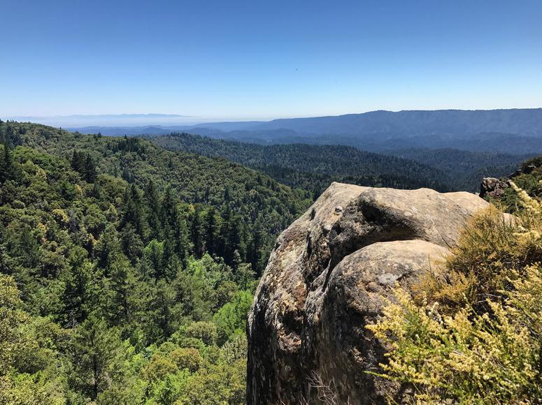 Explore Los Gatos: A Charming California Town for Your Family