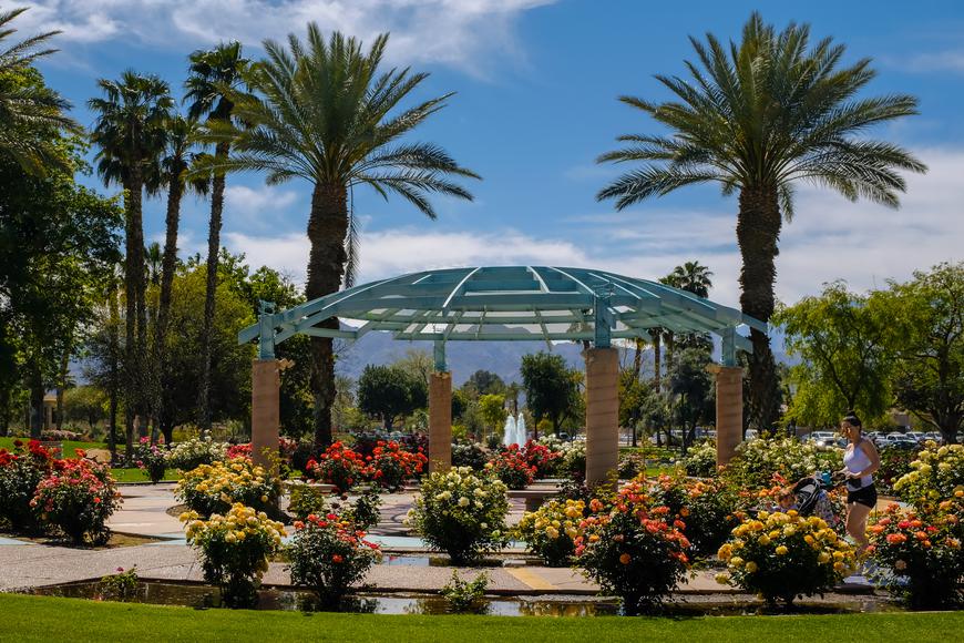 Discover the Oasis of Palm Desert: California's Hidden Gem