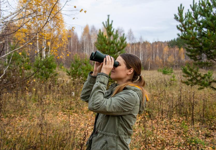 The 9 Best Bird-Watching Spots in California