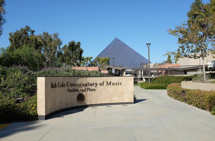 Top 5 Things to Do Near CSU Long Beach