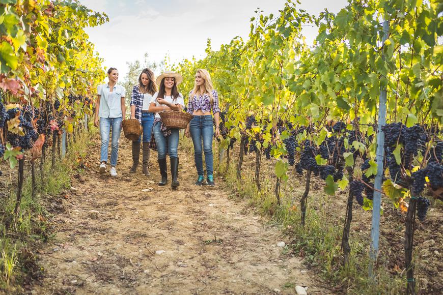 The Ultimate Golden State Wine Country Trip