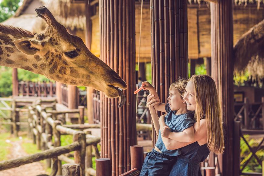 11 Southern California Zoos Worth Visiting